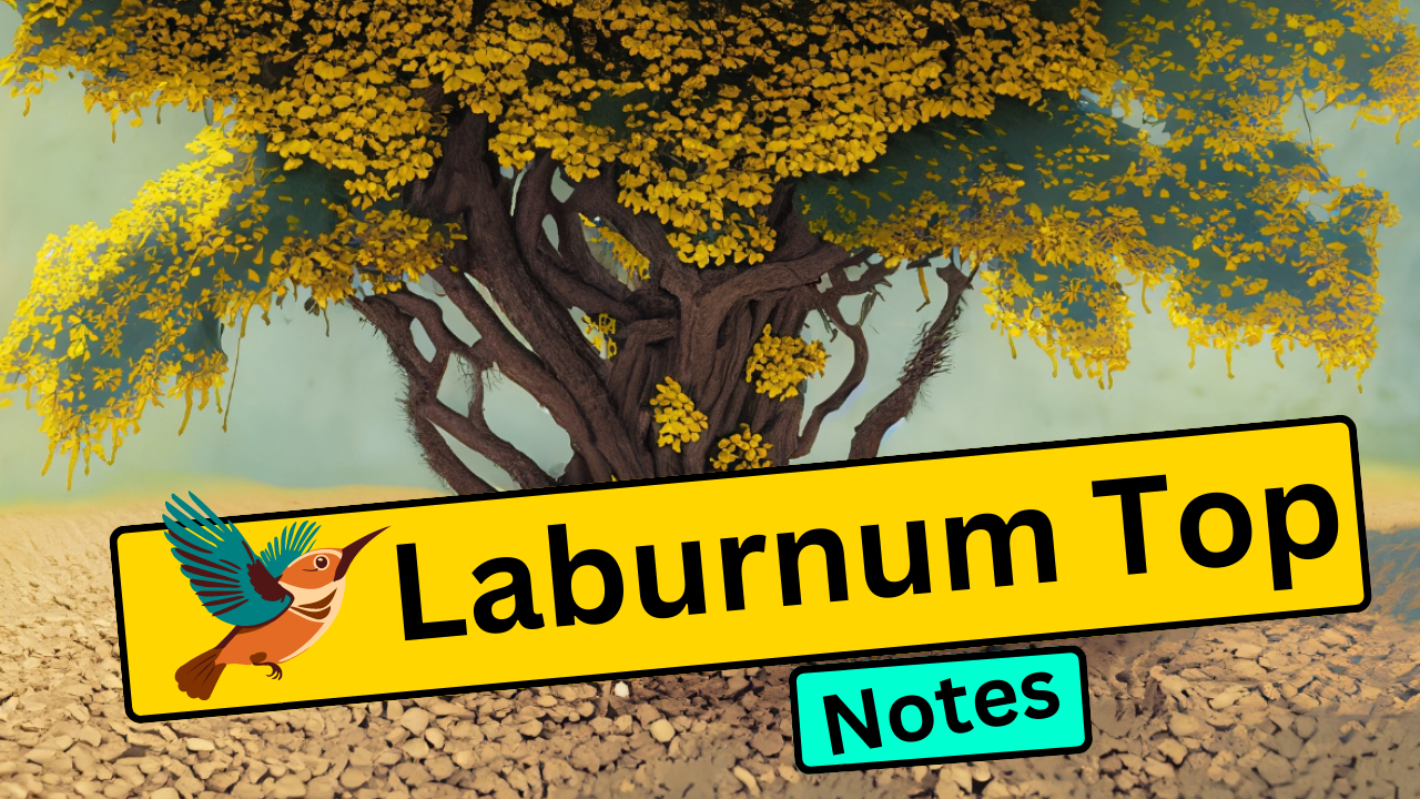 The Laburnum Top Summary Class 11 English