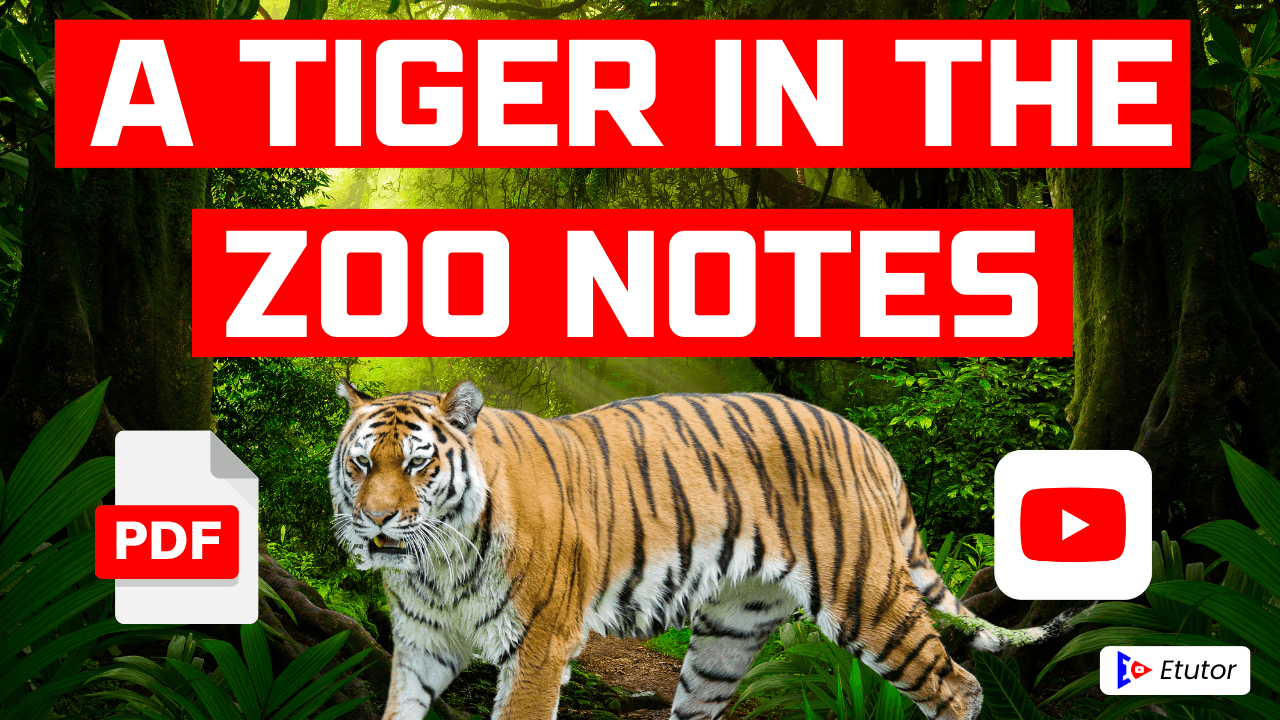 A Tiger in the Zoo Class 10 English Poem 3 CBSE NCERT PDF Notes and Question Answer