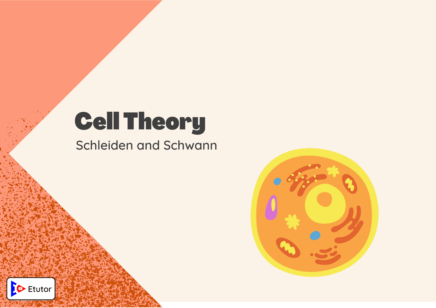 cell theory 