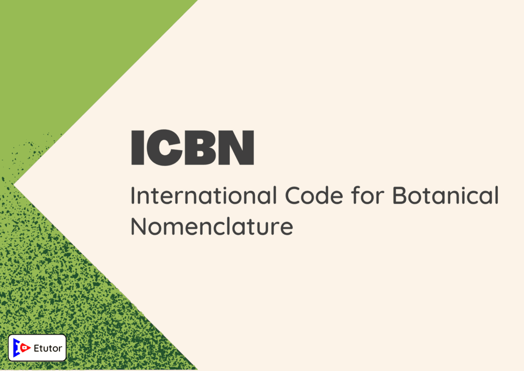 ICBN 