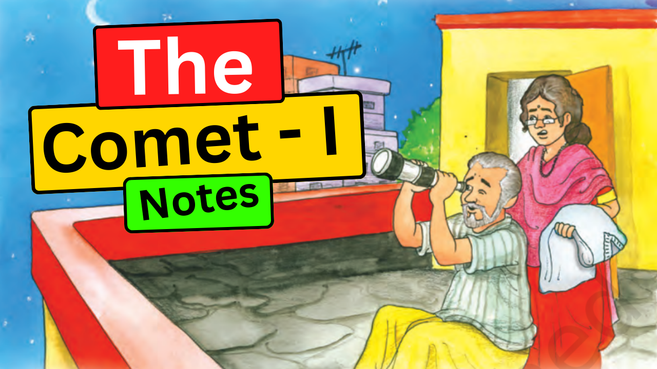 The Comet – I Summary It So Happened Class 8 English