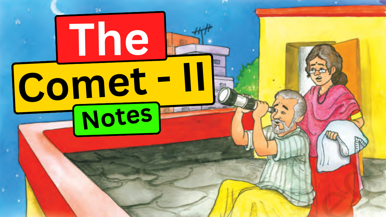 The Comet – II Summary | Class 8 CBSE English | It So Happened